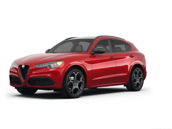 ALFA ROMEO STELVIO 2022 ZASPAKBN8N7D42558 image